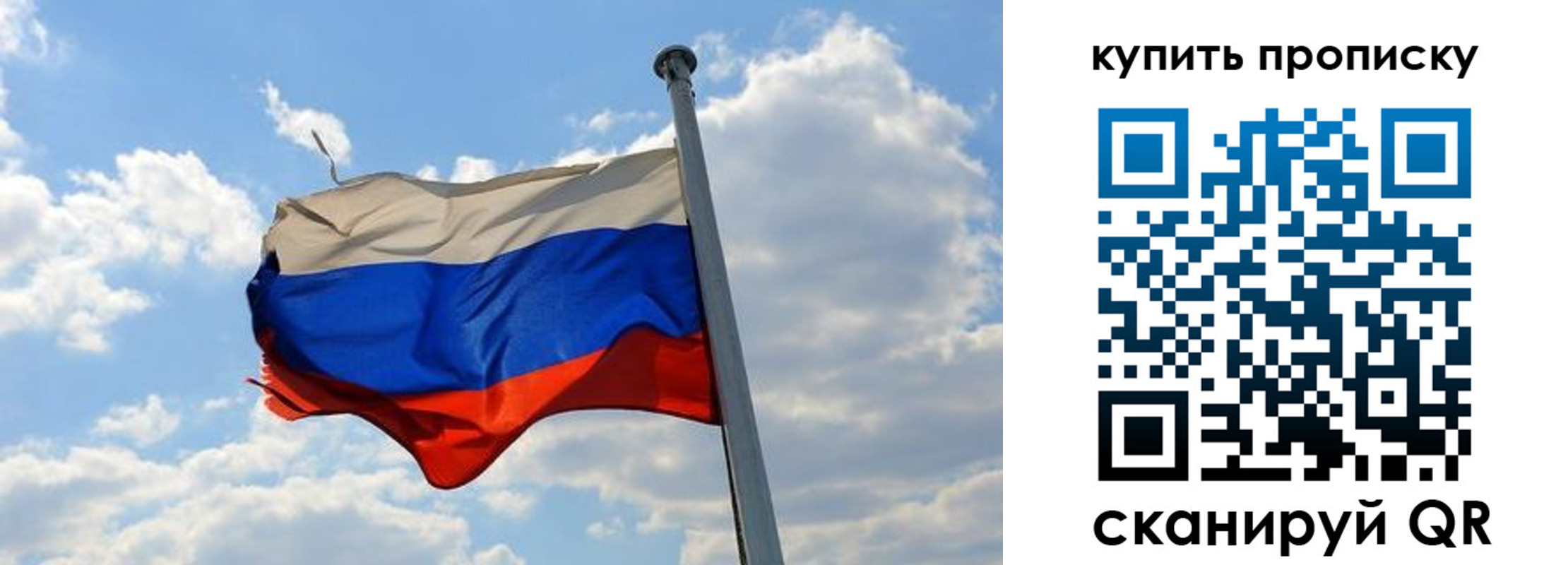 временная прописка в Коле